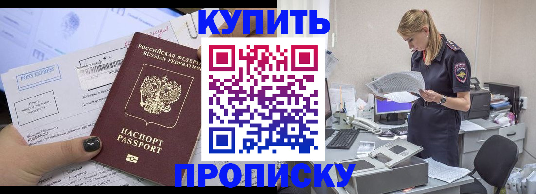 временная регистрация поиск в Кашине